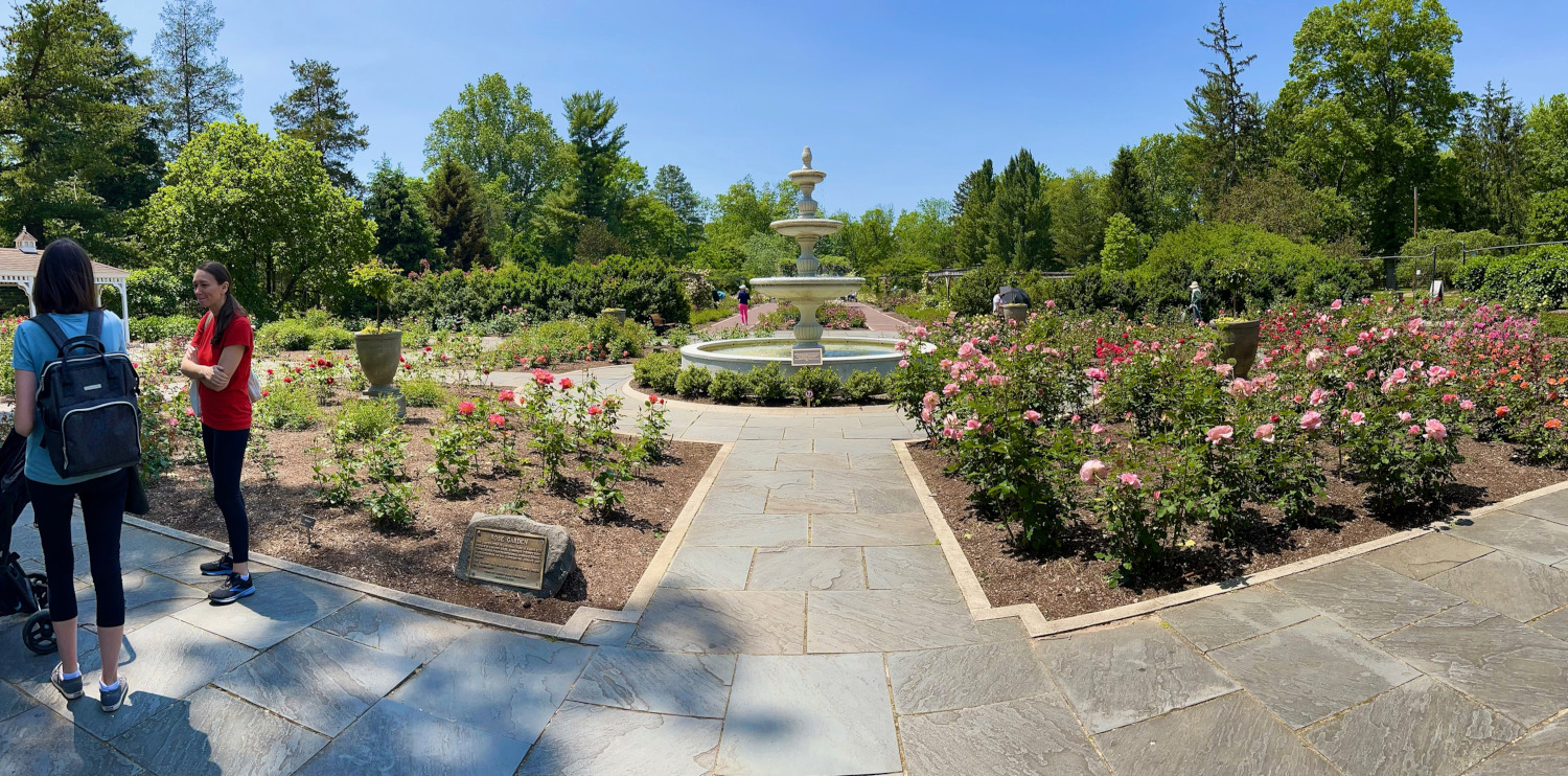 Colonial Park Rose Garden