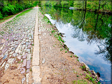 Explore Our Trails Explore Our Trails